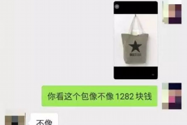 港口港口专业催债公司，专业催收